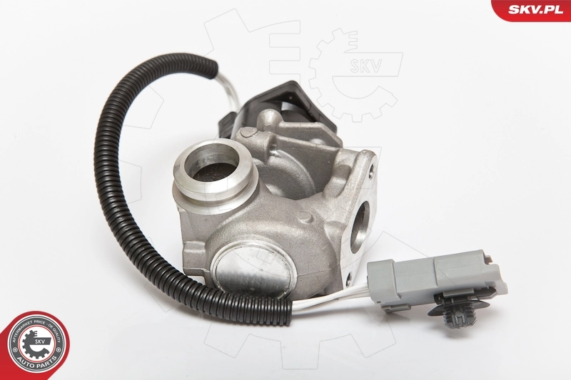 EGR Valve
